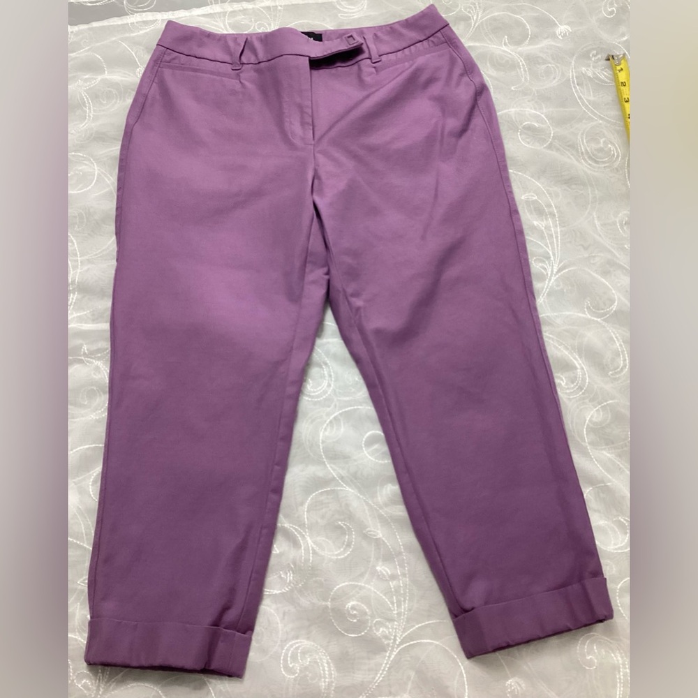 The Slim Crop Women’s Pants Size 8